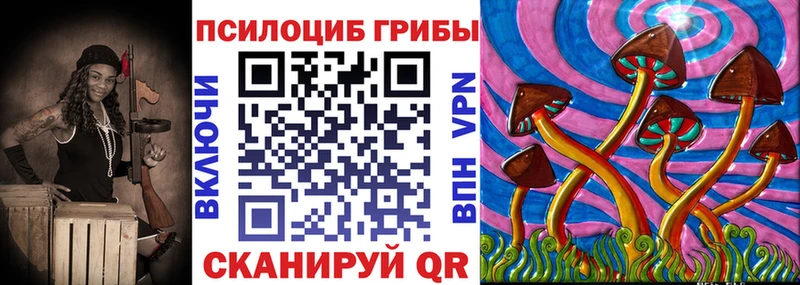 Псилоцибиновые грибы мицелий  как найти   Тамбов 